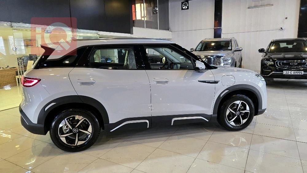 بي واي دي ‎سونغ برو DM-i